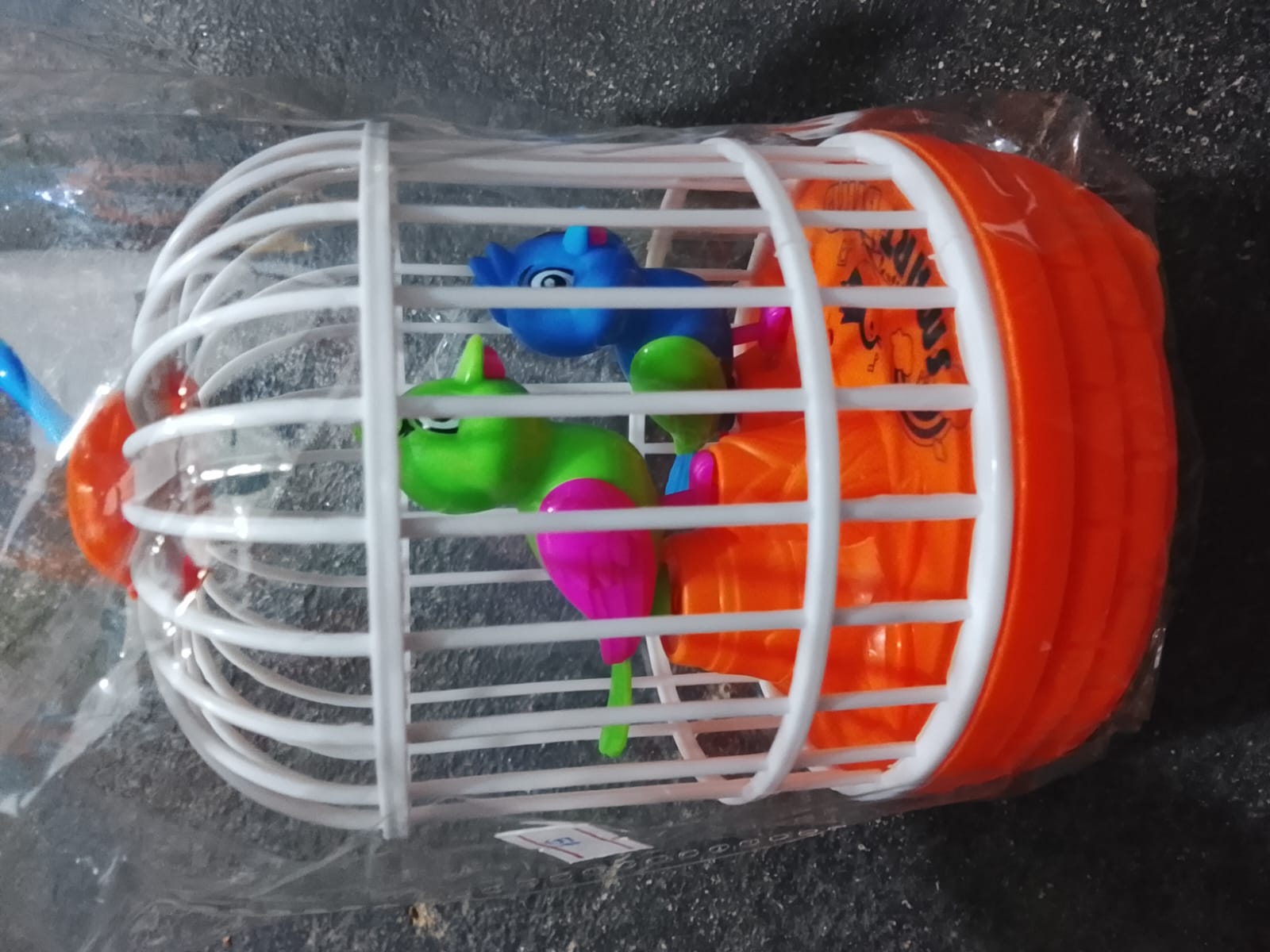 bird cage
