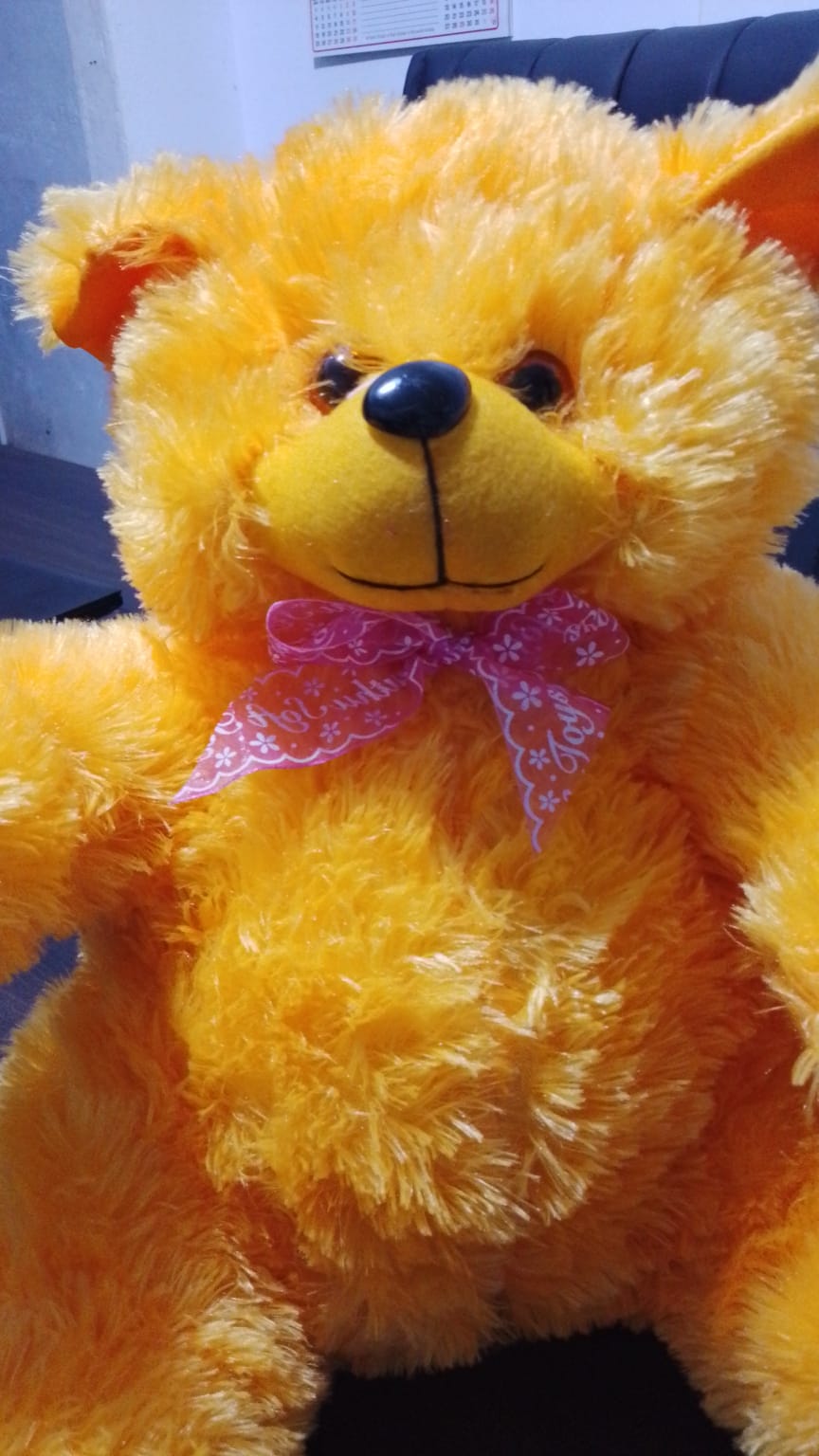 Teddy Bear 2XL
