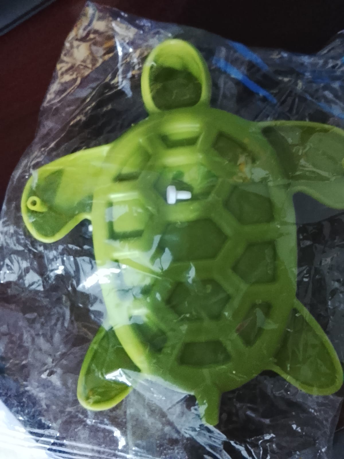 Turtle soap box