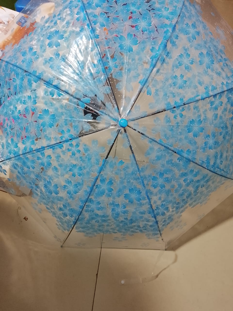 Umbrella  T/P
