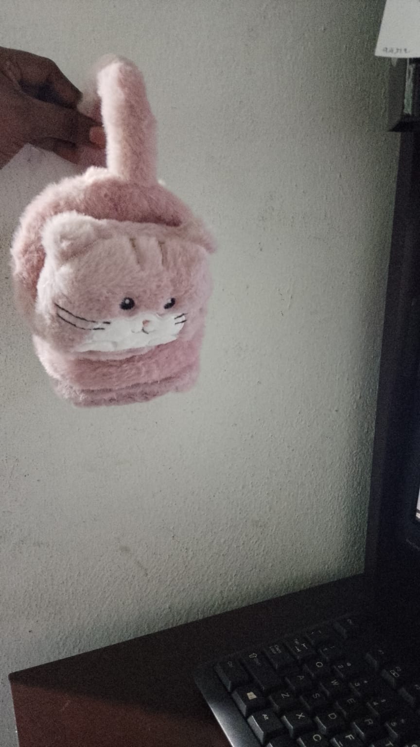 Ear Muffler